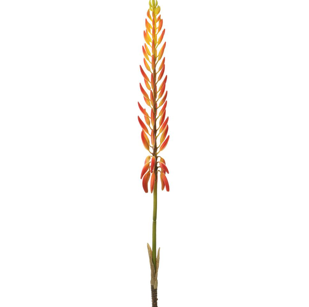 Agave Flower Spray Two Tone Orange 28''