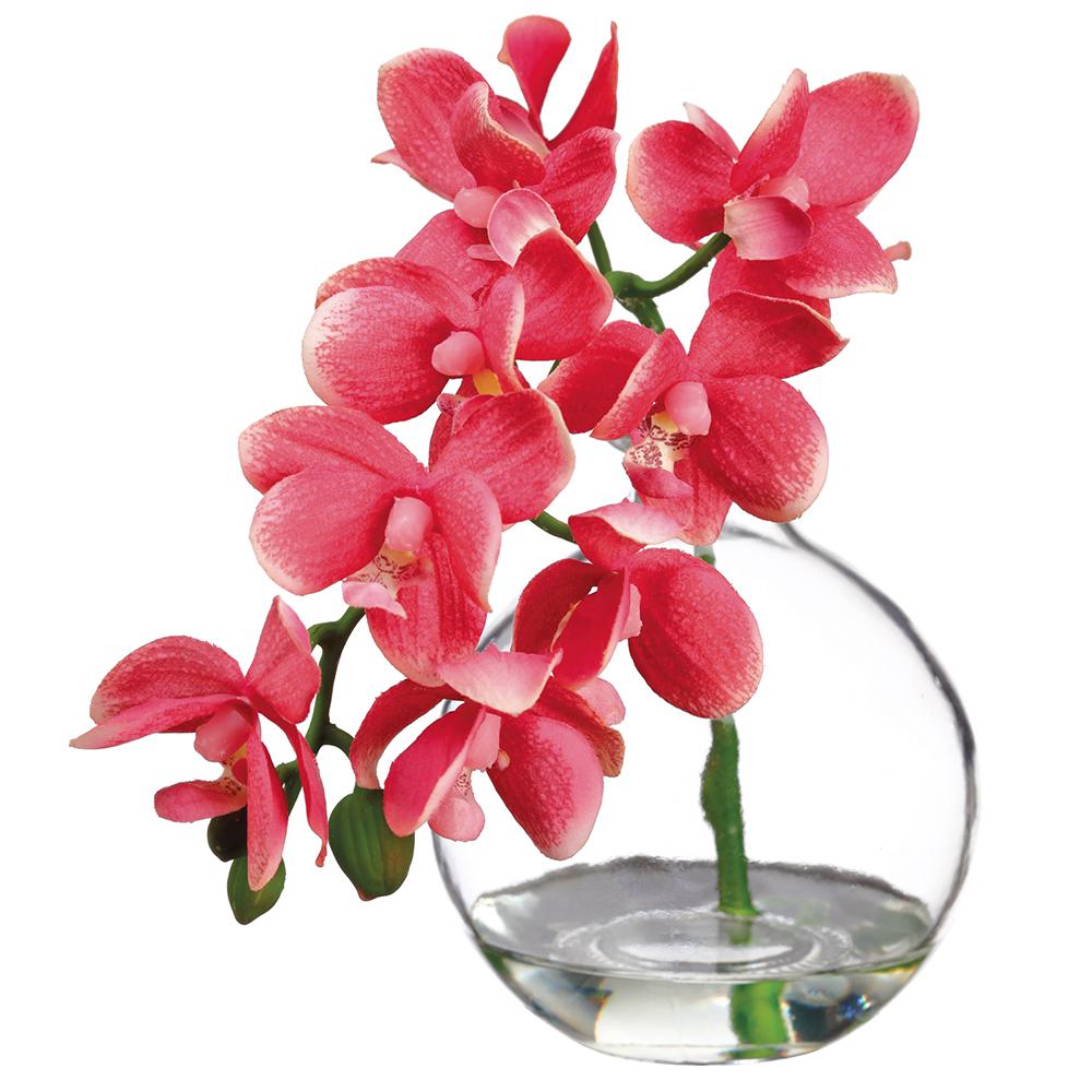 PHALAENOPSIS ORCHID IN GLASS VASE- PINK 10''