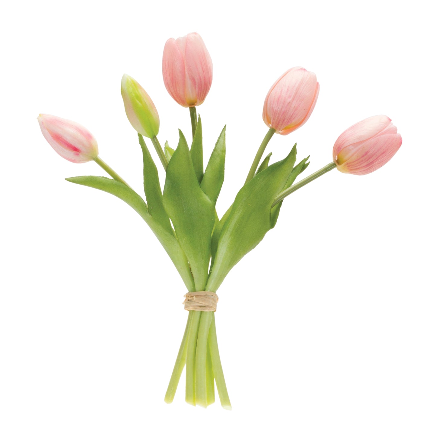 Tulip Bundle 10.5'' Pink