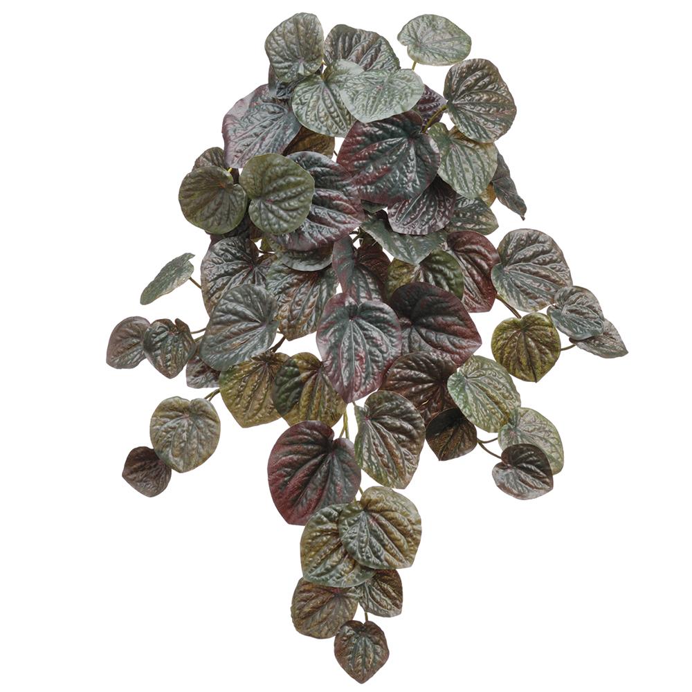 PEPPEROMIA BUSH- DARK GREEN 19''