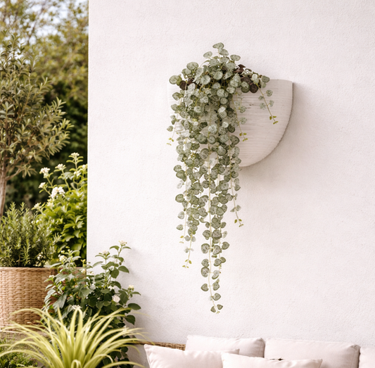 STRING OF HEARTS HANGING PLANT BUSH- GREEN 21.5''