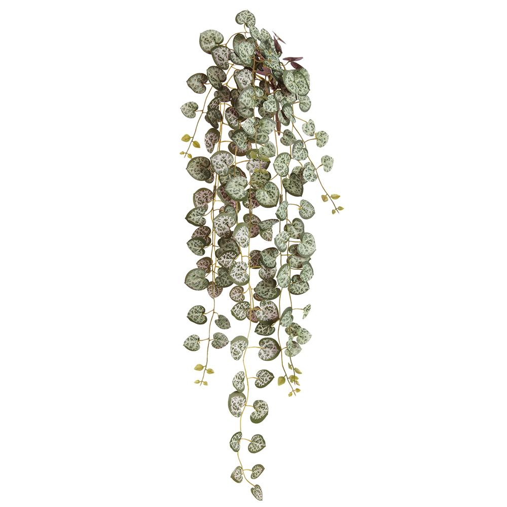 STRING OF HEARTS HANGING PLANT BUSH- GREEN 21.5''