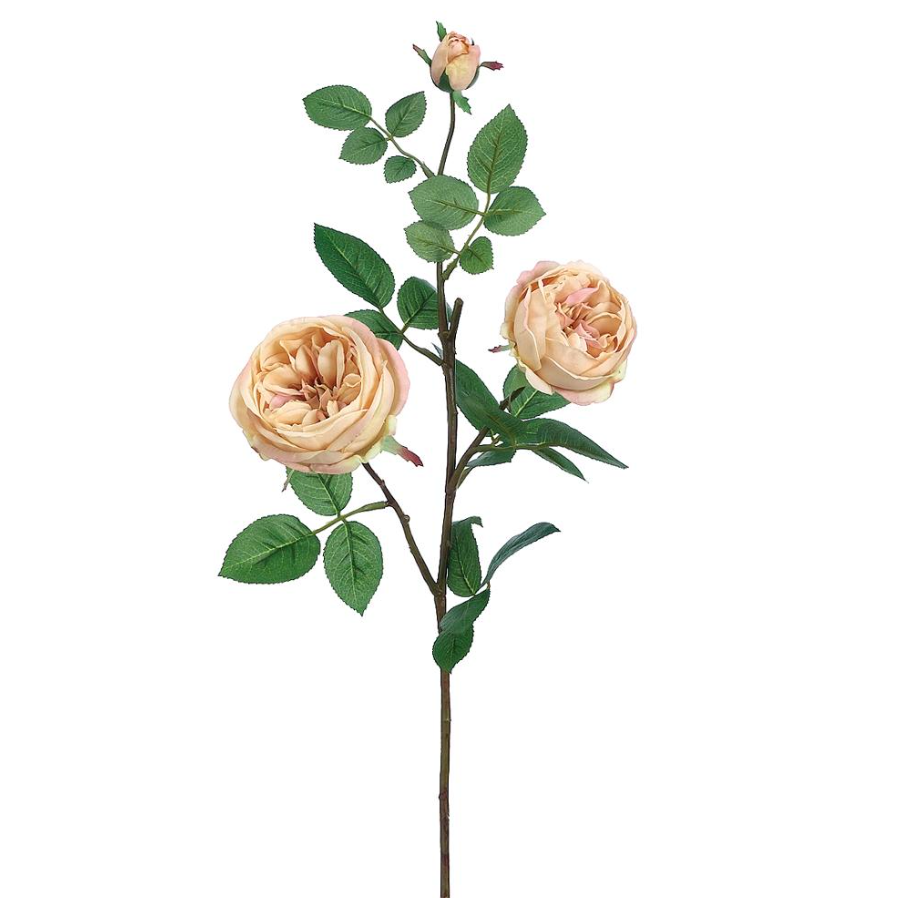 Cabbage Rose Spray  Beige 29"