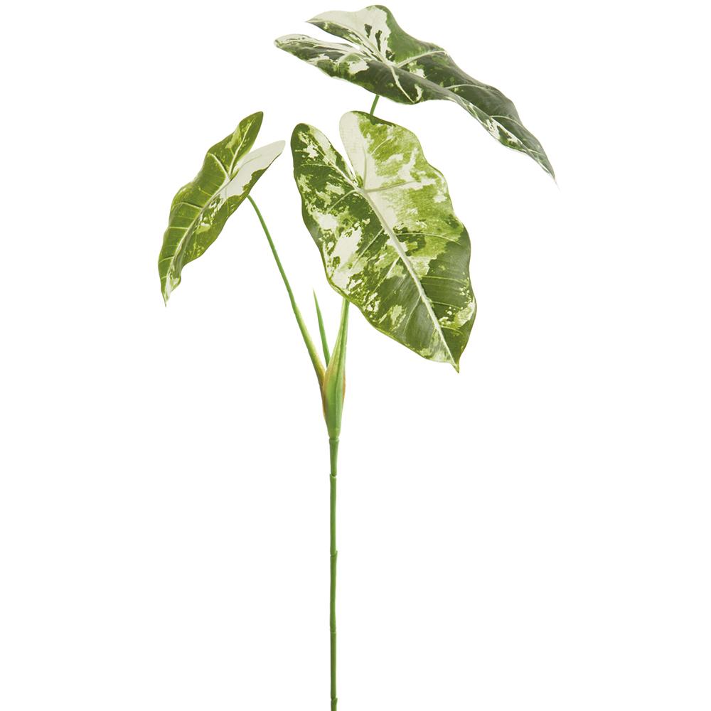 ELEPHANT PHILODENDRON LEAF BUSH- GREEN 32''