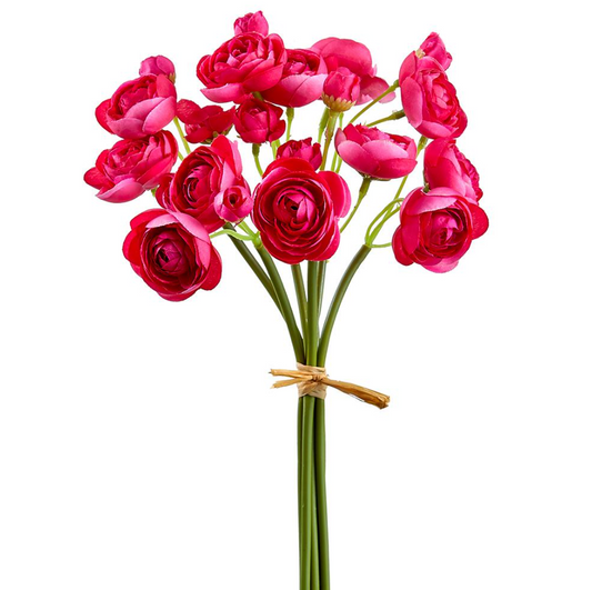 Mini Ranunculus Bundle of 6 -Beauty