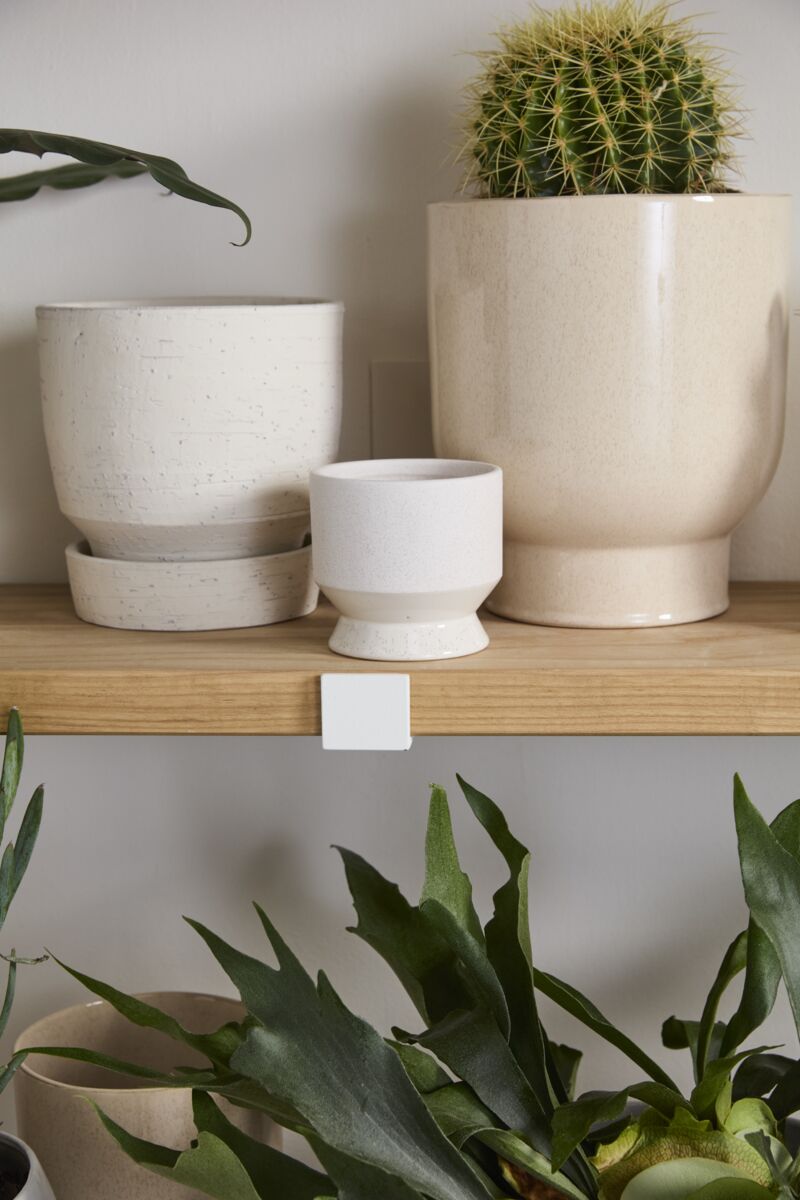 NEUTRAL PASADENA CERAMIC POT OFF-WHITE 4.5"X4.25"