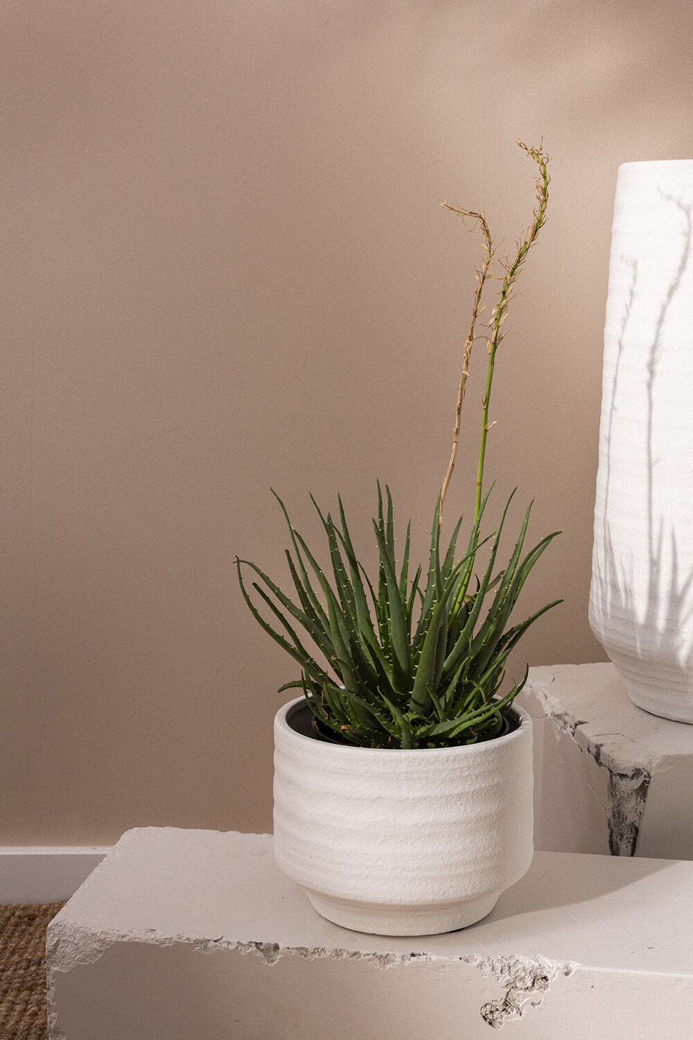 ANDRADE CONCRETE POT 7.5"X6"
