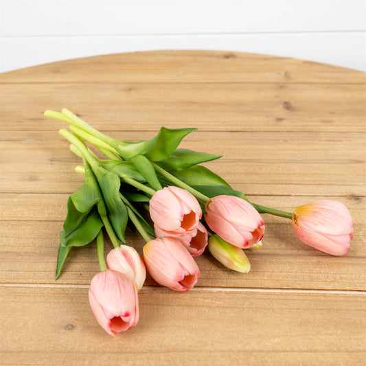 Tulip Bundle 10.5'' Pink