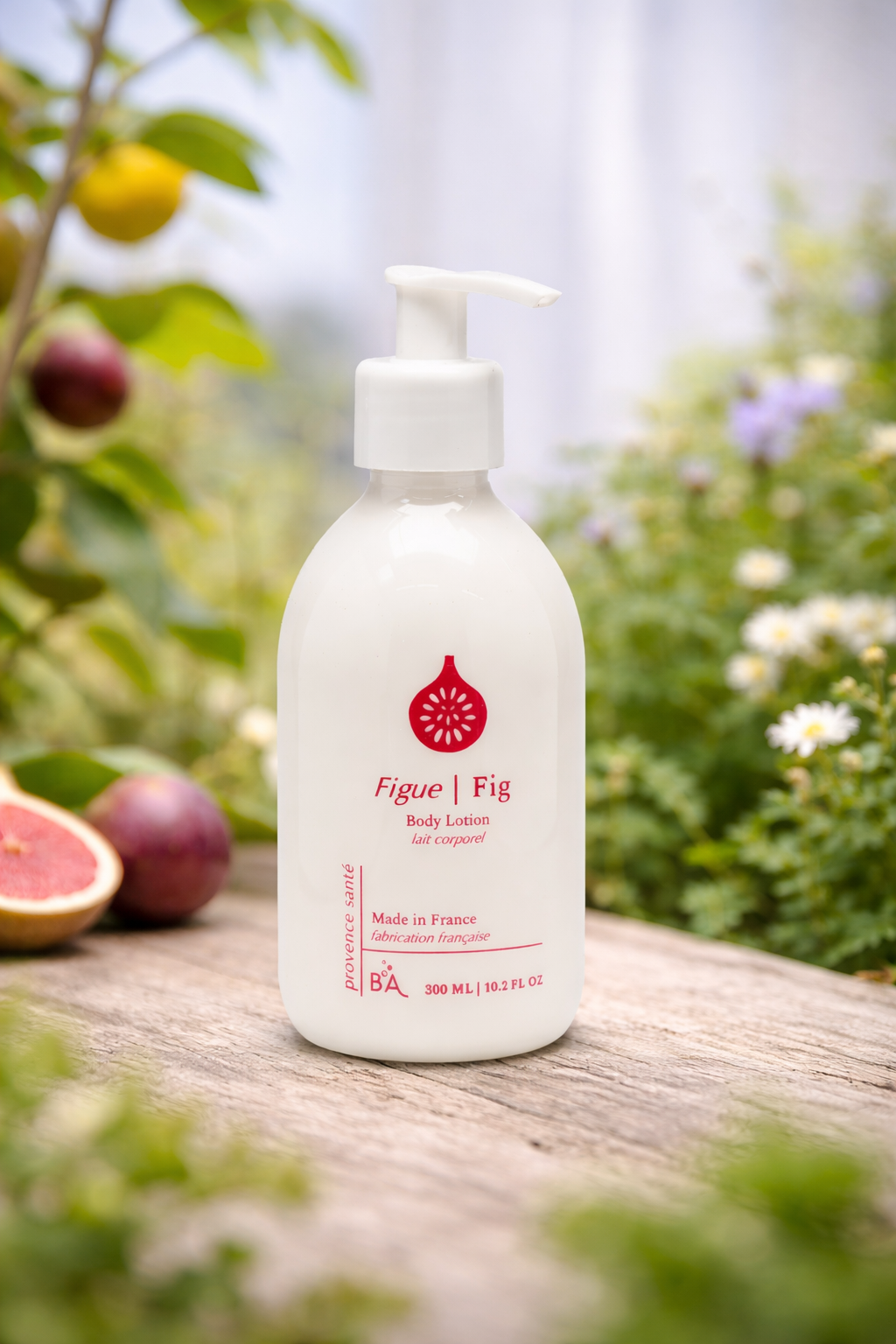 PROVENCE SANTÉ BODY LOTION 10.2OZ-FIG